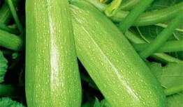 吃瓜网最近的瓜,娱乐圈最新重磅事件大曝光！